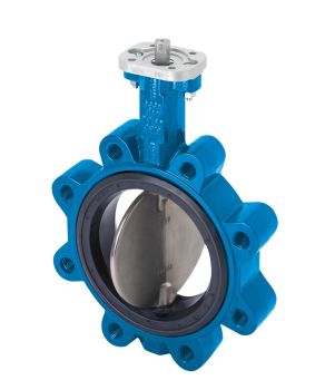 One-piece butterfly valve - soft-seated